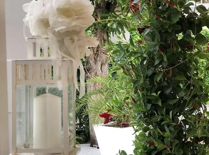 Bruna Szálloda Milano Marittima